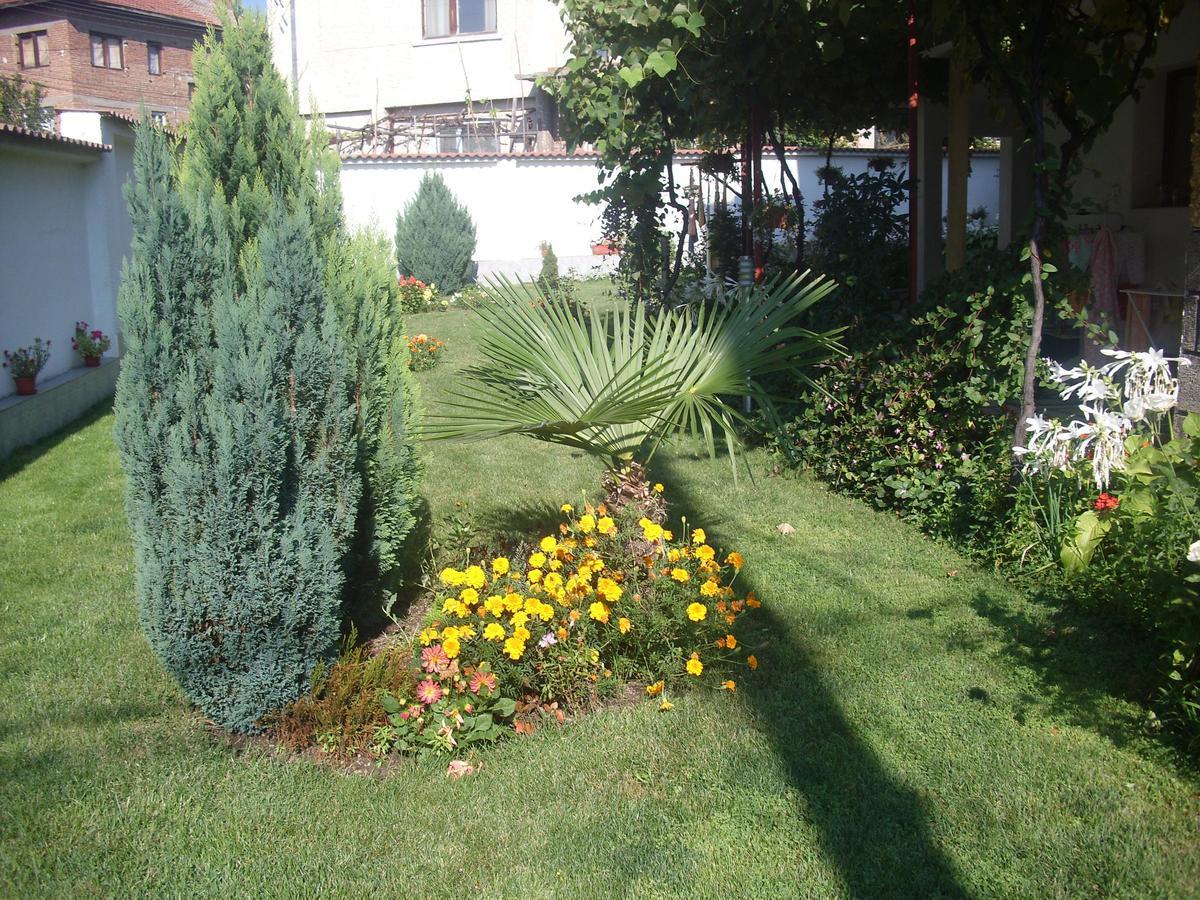 ולינגראד Family Hotel Dalia מראה חיצוני תמונה